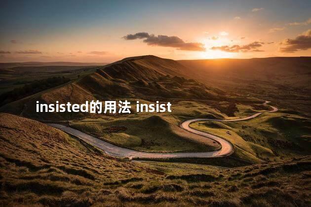 insisted的用法 insistedto